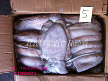 冷凍粗加工黑魚 阿里巴巴平臺上的水產(chǎn)品批發(fā)與供應指南