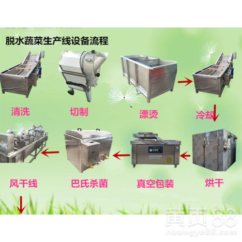 速凍玉米深加工中的清洗設備關鍵技術與定制方案