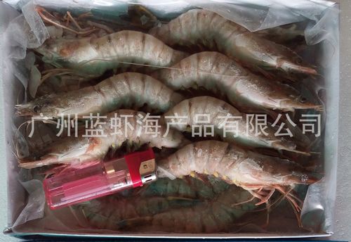 廠家直銷海鮮大量批發 一手貨源冷凍水產品 越南草蝦19